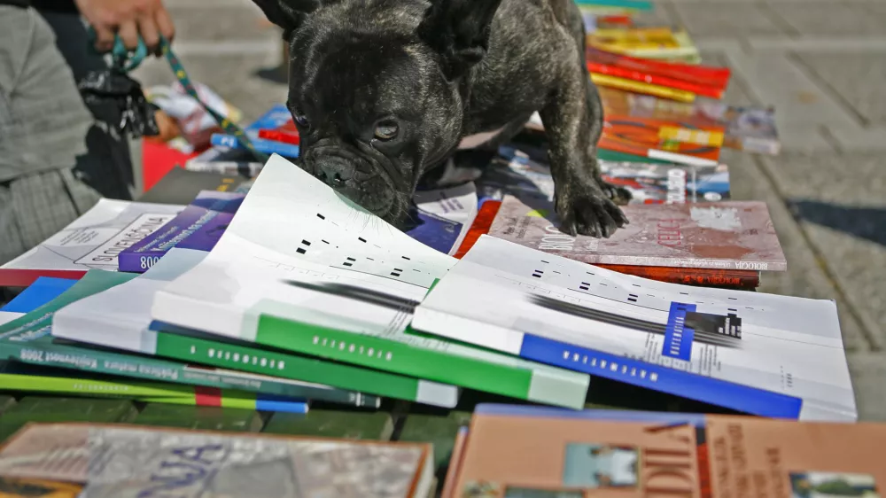 - ilustrativna fotografija - knjiga - pes- Sejem rabljenih učbenikov in drugih &scaron;olskih potreb&scaron;čin 2011 v organizaciji Zveze &scaron;tudentskih klubov Slovenije, Križanke, &scaron;olske knjige - &scaron;olstvo/FOTO: Bojan Velikonja