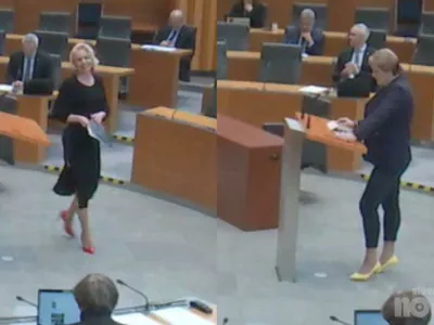 Državni zbor, Jelka Godec, Ur&scaron;ka Klakočar Zupančič, salonarji, čvelji