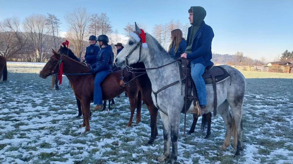 Konjeni&scaron;ko dru&scaron;tvo Sostro