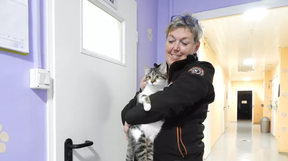 Tatjana Lenko je lastnica zaveti&scaron;ča in hotela za živali Zonzani. Muca Zorica je najdenka in čaka na ljubeč dom. / Foto: Katja Petrovec