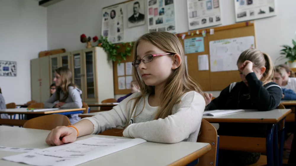 Novo leto bo prineslo obvezno nacionalno preverjanje znanja tudi za tretje&scaron;olce. Fotografija je simbolična. Foto: Tomaž Skale&nbsp;
