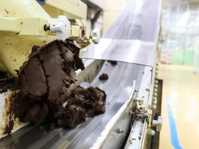 Na terminskih borzah je bilo treba za tono kakava, glavne surovine za čokolado, pred dnevi od&scaron;teti 12.605 dolarjev, kar je bilo skoraj 900 evrov več od zadnjega rekorda iz lanskega aprila. Foto: Bojan Velikonja