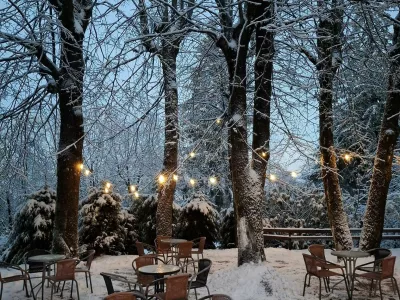 Na Kure&scaron;čku Bojana Bačar ustvarja pravi raj. 