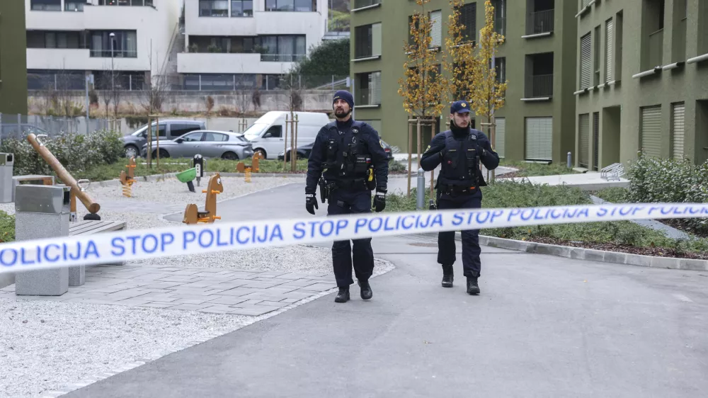 Policisti so v začetku decembra v Črnučah izvajali hi&scaron;ne preiskave, povezane z mafijskim umorom na Poti za Brdom v Ljubljani. Foto: Jaka Gasar