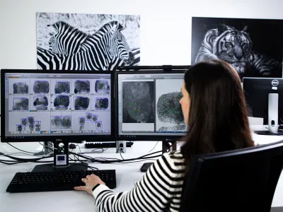 V Nacionalnem forenzičnem laboratoriju poteka pregledovanje prstnih odtisov. / Foto:&nbsp;arhiv policije