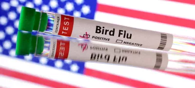 65-letnega moškega, ki se je okužil z virusom ptičje gripe, so hospitalizirali sredi decembra. Foto: Reuters