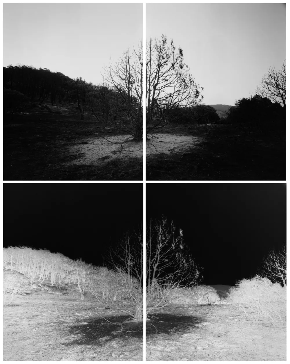 Primož Bizjak: Bel pepel na črnem pepelu (2022); na razstavi Prostor s potencialom premika v Moderni galeriji. Foto:&nbsp;arhiv MG