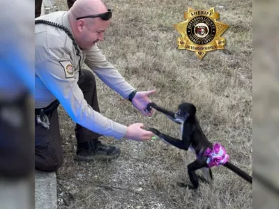 Foto: &Scaron;erifov urad okrožja Jefferson