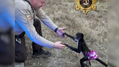 Foto: &Scaron;erifov urad okrožja Jefferson