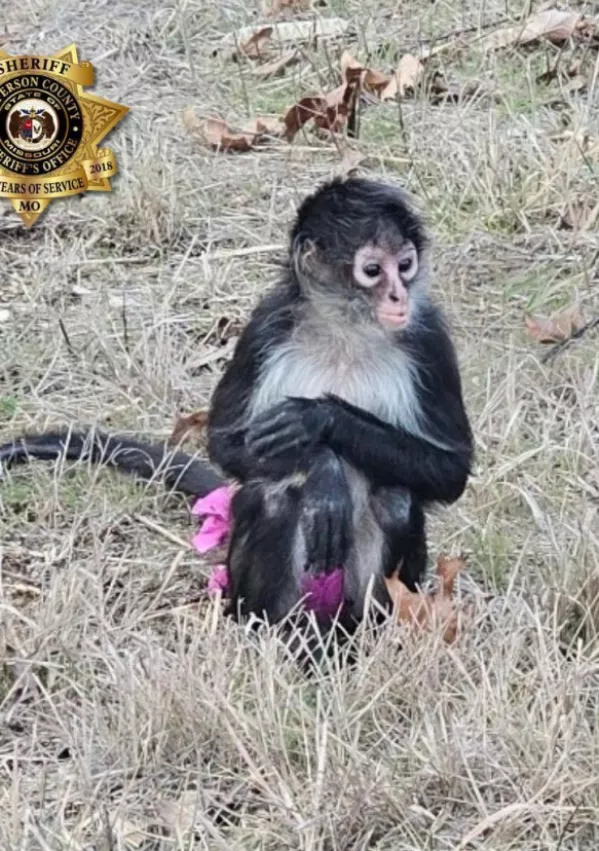 Foto: &Scaron;erifov urad okrožja Jefferson