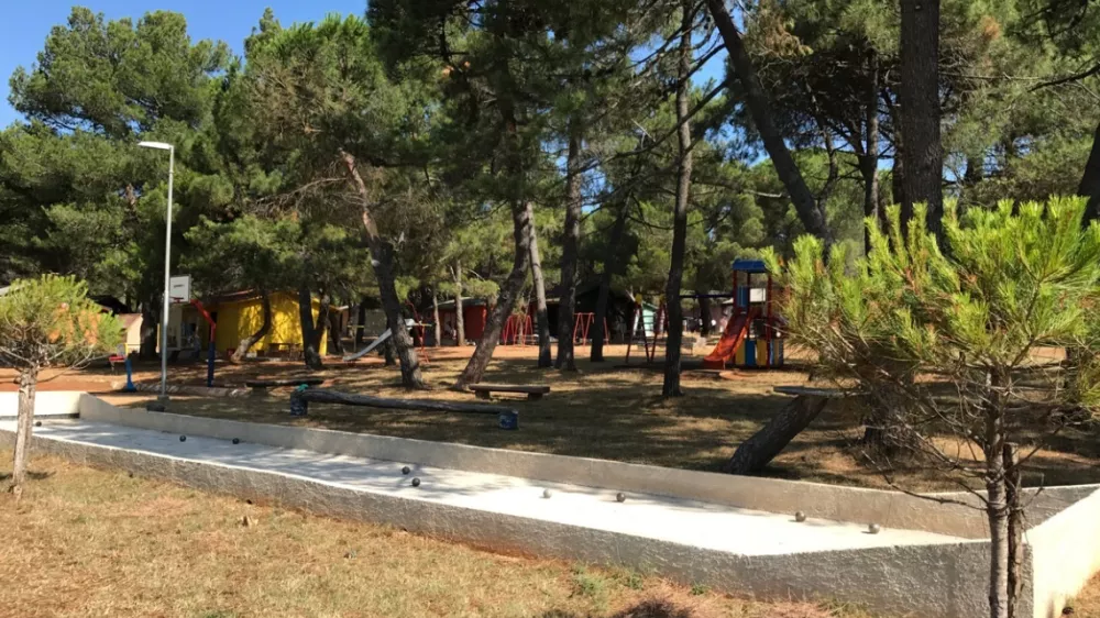 Letovi&scaron;če Pinea v Novigradu gosti &scaron;olarje treh osnovnih &scaron;ol, &scaron;portnike in druge otroke. Foto: ZDPMJ