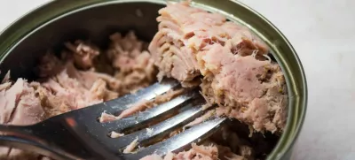 V Sloveniji je lov na tune prepovedan. Vsa tuna pride iz uvoza. V letu 2023 je Slovenija po podatkih statističnega urada uvozila skupno več kot 4000 ton sveže, zamrznjene in konzervirane tune. / Foto: iStock