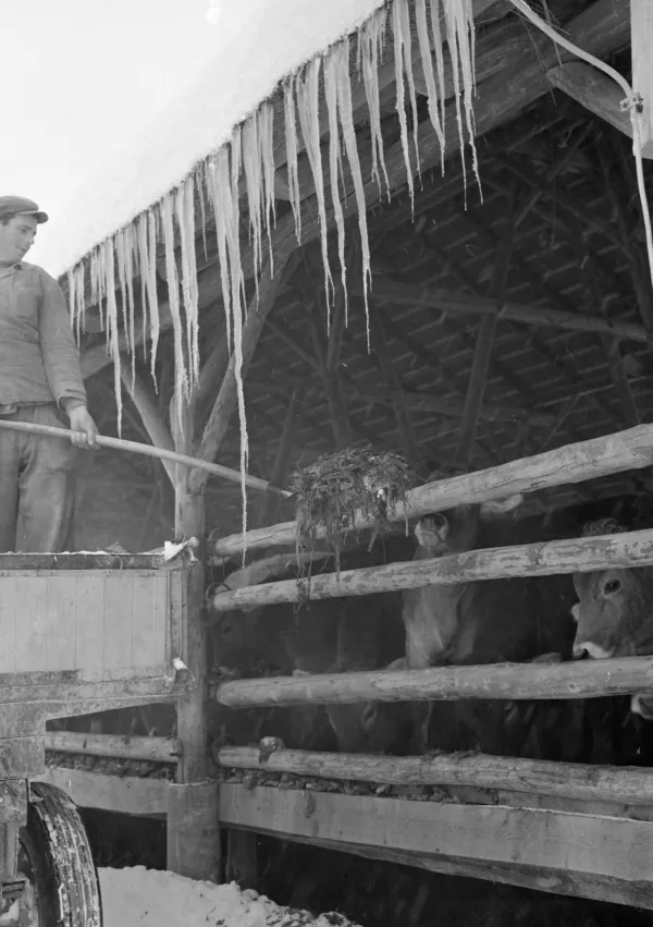 Februar se imenuje tudi svečan, saj so bile zanj nekoč značilne ledene sveče.&nbsp;/ Foto:&nbsp;hrani Muzej novej&scaron;e in sodobne zgodovine Slovenije
