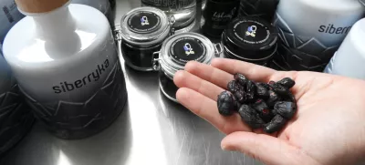 hiška borovnichaskap borovnice / Foto: Katja Petrovec