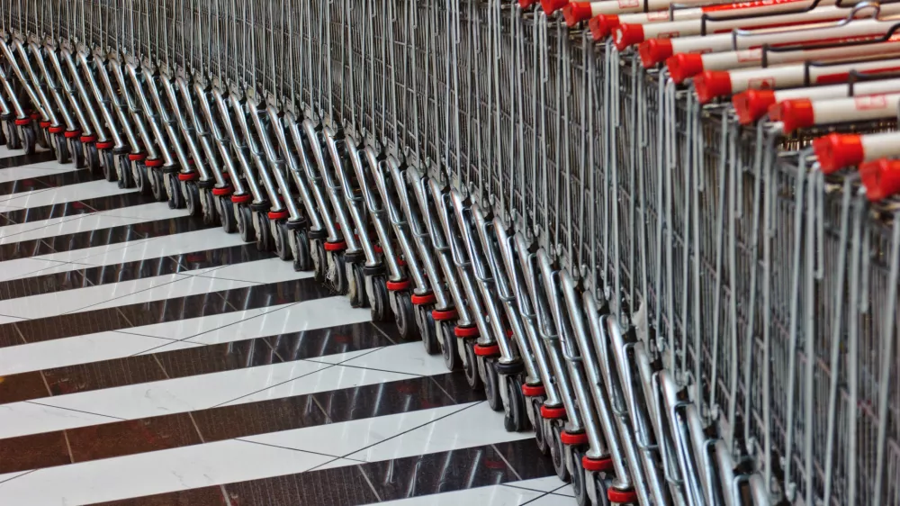 Interspar - nakupovalni voziček- BTC City Park - nakupovalno sredi&scaron;če v Ljubljani 2013 - potro&scaron;ni&scaron;tvo - potro&scaron;niki,potro&scaron;niki,nakupovanje//FOTO: Tomaž Zajel&scaron;nik