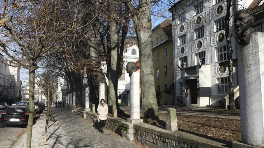 - 13.01.2020 &ndash; Vegova ulica v Ljubljani &ndash; doprsni kipi slovenskih kulturnih ustvarjalcev pred glasbeno matico - drevored &ndash; drevesa //FOTO: Luka Cjuha.