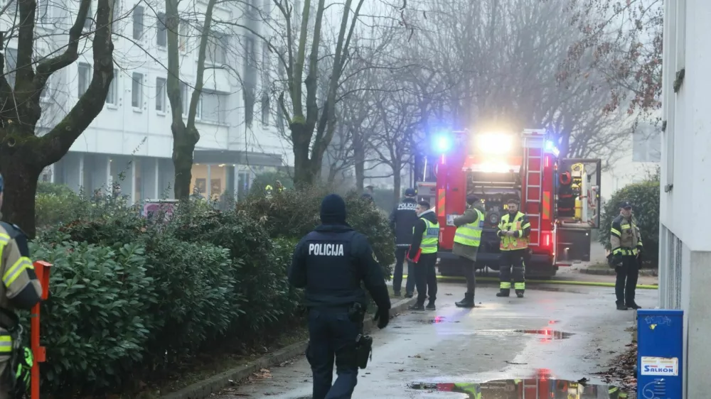 Požar v dija&scaron;kem domu