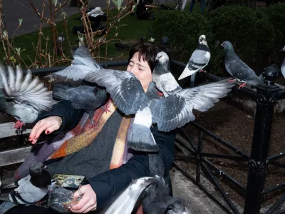 Razstava Bel dim, rjav odbl&egrave;sk, Nik Erik Neubauer