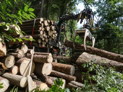 17.8.2016 - Lubadar - sanacija po&scaron;kodovanih gozdov zaradi epidemije lubadarja - sečnja in spravilo po&scaron;kodovanega lesa - podrta - polomljena drevesa - gozdovi - gozd - les - hlodovina -&nbsp; gozdarstvo - &nbsp;&nbsp;&nbsp;&nbsp;//FOTO: Luka Cjuha.