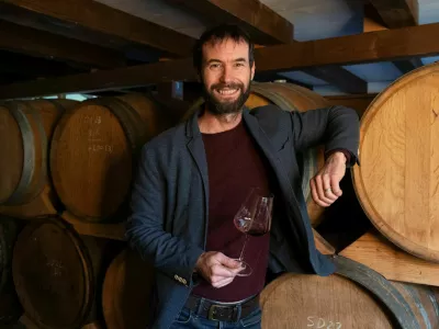 Matjaž Babič: Istrski vinarji nimamo skupne strategije in vsak dela po svoje, zato se v smislu trženja Istre kot blagovne znamke premikamo po polžje. F Jaka Jera&scaron;a