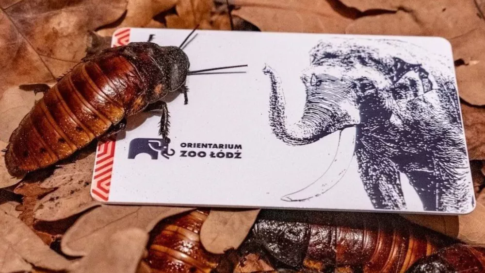 Foto: Živalski vrt v Ł&oacute;dźu.