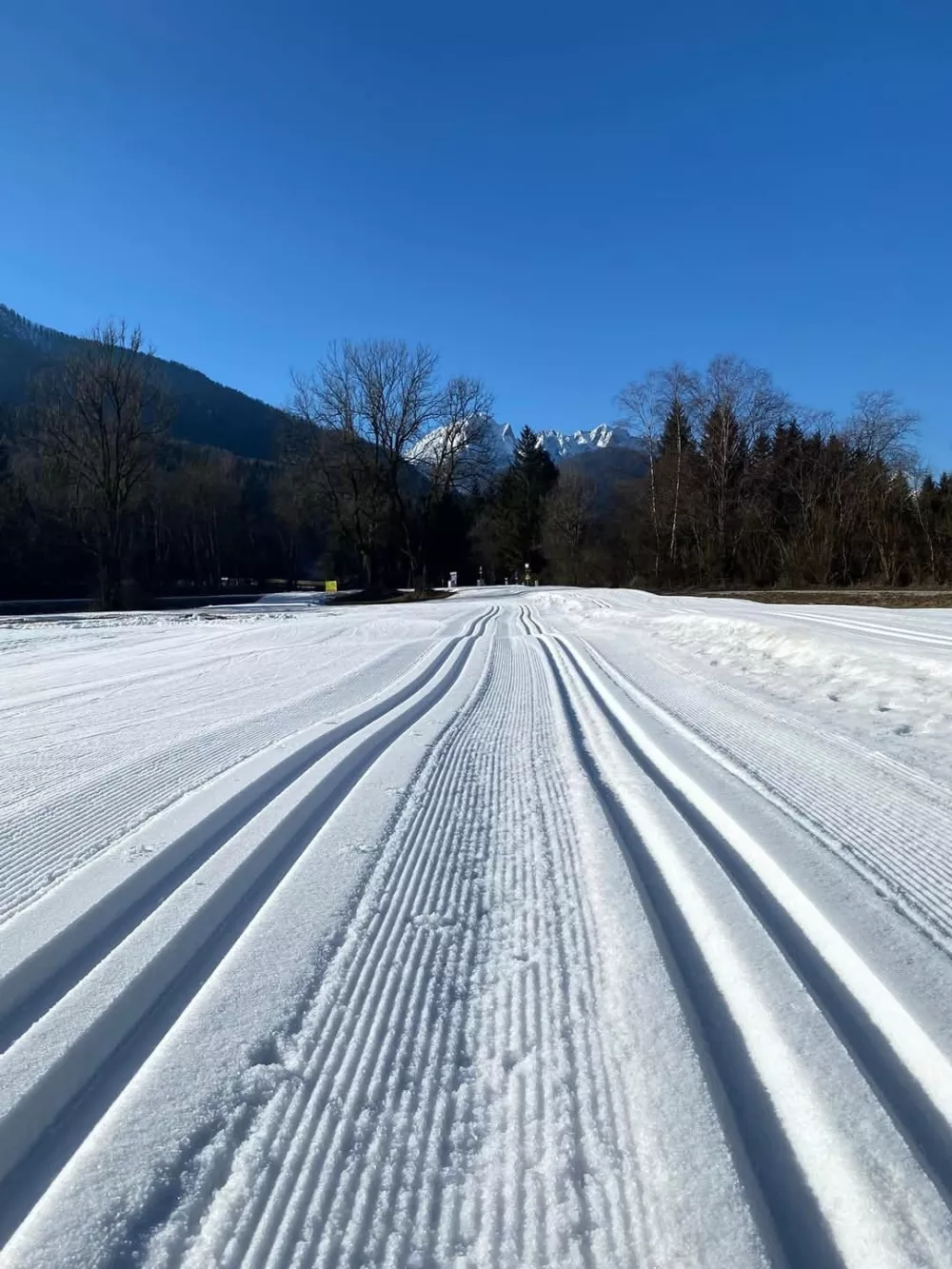 Zaradi zgledno urejenih smučin ob koncih tedna v neposredni bližini meje z Italijo na&scaron;tejejo od 500 do 1000 tekačev. Foto: Teka&scaron;ki center Confine
