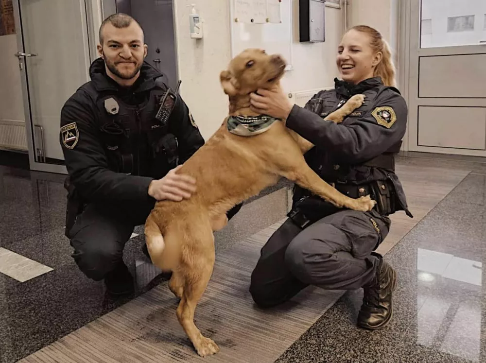 Re&scaron;en kuža Eros na &scaron;kofjelo&scaron;ki policijski postaji. 