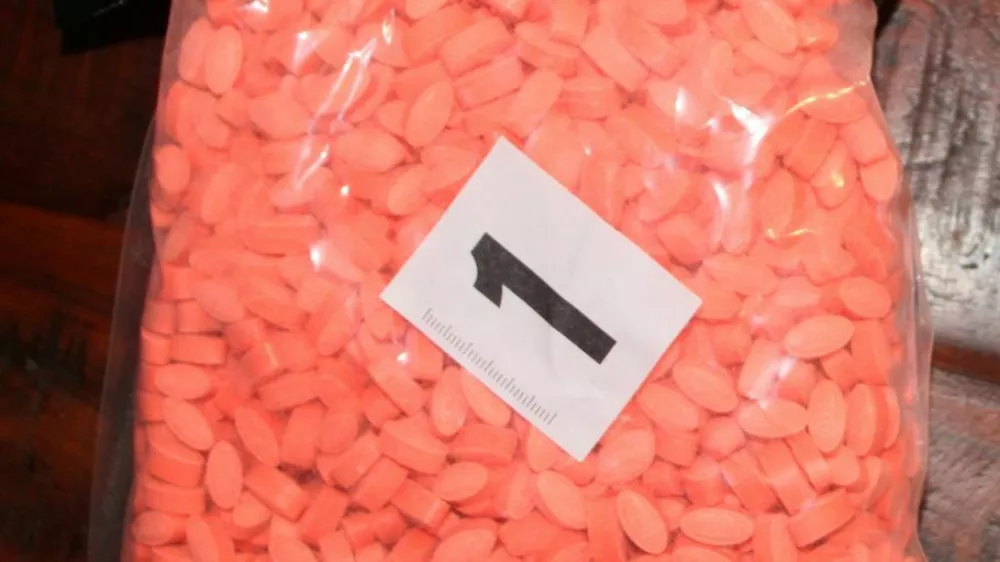 Hi&scaron;na preiskava