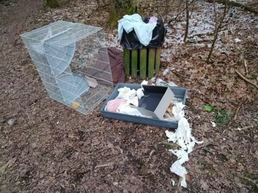 Foto: Dru&scaron;tvo Pasja nota