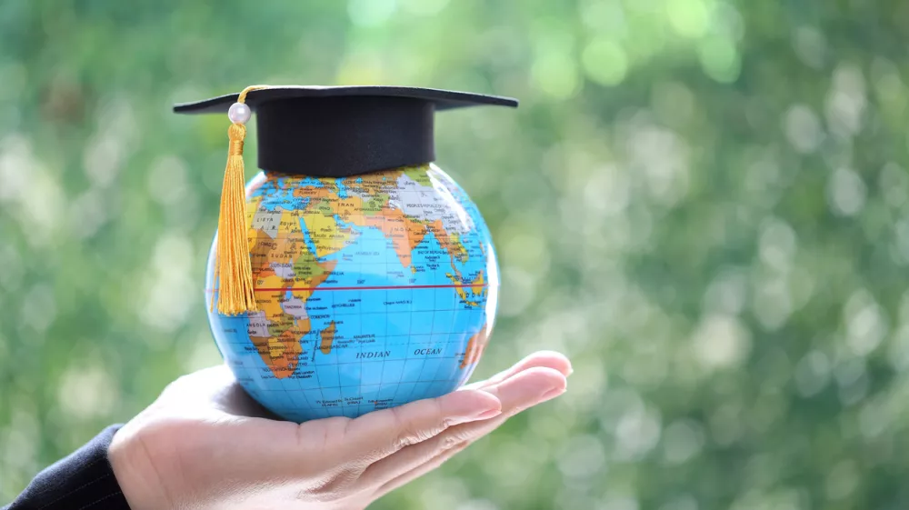 Mednarodna &scaron;tudijska praks