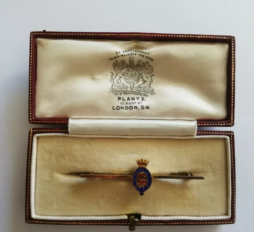 Zlata igla za zasluge / Foto: Arhiv Zvonka &Scaron;enica