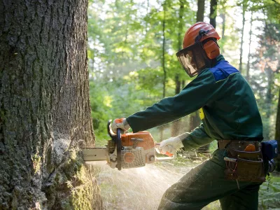 Marjan Dolen&scaron;ek opozarja, da pri delu v gozdu in na splo&scaron;no z motorno žago velja pravilo &raquo;hiti počasi in upo&scaron;tevaj vsaj osnovna pravila za varno delo&laquo; tudi takrat, ko se zdi, da moramo kak&scaron;no stvar narediti na horuk. / Foto: Jo&scaron;t Bukovec