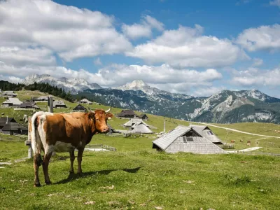 Pastirske bajte so na Veliki planini včasih posnemali tudi v skromnosti bivanja, o čemer pri dana&scaron;njih prenovah ne moremo govoriti &ndash; so njihovo nasprotje. / Foto: iStock