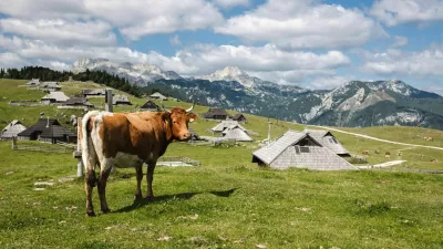 Pastirske bajte so na Veliki planini včasih posnemali tudi v skromnosti bivanja, o čemer pri dana&scaron;njih prenovah ne moremo govoriti &ndash; so njihovo nasprotje. / Foto: iStock