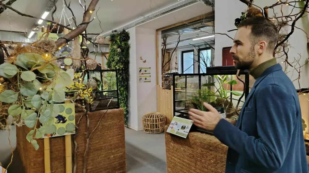 Simon CirkulanTropska hi&scaron;a, Celje