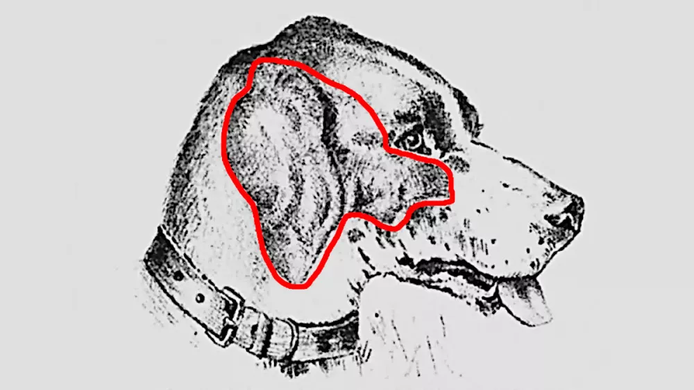 Obraz v kužku - re&scaron;itev / Foto: Puzzler/daf