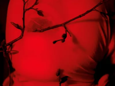 Lučka Centa: ved'ma, performans