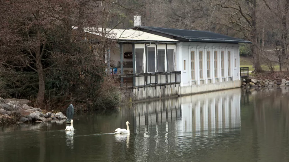 Foto:&nbsp;Tomaž Skale&nbsp;