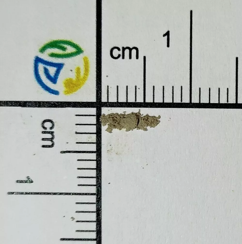 V vzorcu droge, kupljene na obrobju Ljubljane, so odkrili smrtonosni odmerek fentanila. Ta je 50-krat močnej&scaron;i od heroina in lahko hitro privede do življenjsko ogrožajočega stanja. Zaradi depresije dihanja že ob zelo majhnih odmerkih. Foto:&nbsp;NLZOH