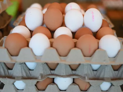 FILED - 12 March 2025, Hesse, Frankfurt/Main: White and brown eggs are displayed at a market stall at the weekly market in the Bornheim district. The United States has asked Germany to increase egg supplies. Photo: Arne Dedert/dpa