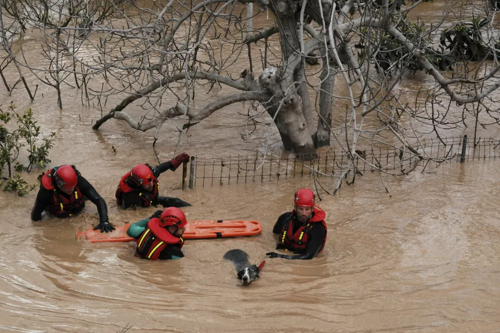 Emergency teams rescue a dog from flooded areas after heavy rains in Malaga, Spain, Tuesday, March 18, 2025. (AP Photo/Gregorio Marrero)
