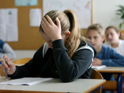 Nacionalno preverjanje znanja učencem omogoča, da po vsakem triletju preverijo, koliko znajo v primerjavi z vrstniki. Foto: Tomaž Skale&nbsp;