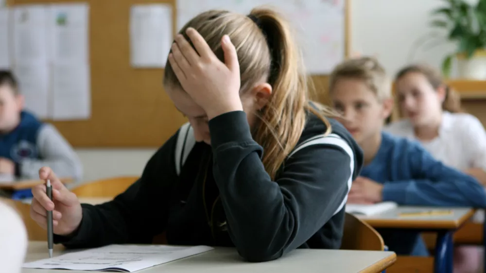 Nacionalno preverjanje znanja učencem omogoča, da po vsakem triletju preverijo, koliko znajo v primerjavi z vrstniki. Foto: Tomaž Skale&nbsp;