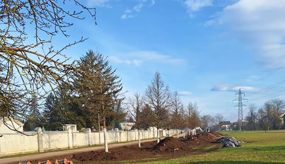 Drevored tur&scaron;kih lesk v &Scaron;martinskim parku