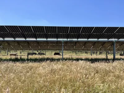 Las Corchas, solarna farma, kmetijstvo, sončna elektrarna, agrovoltaika, &Scaron;panija, Andaluzija