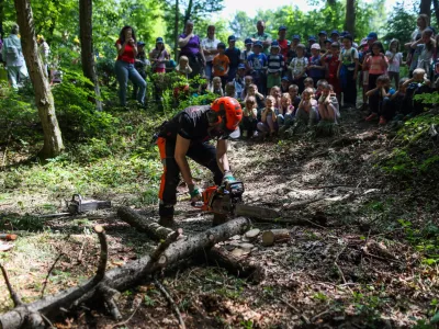 - 23.05.2023 - Vseslovenski Teden gozdov 2023 na temo Gozdovi prihodnosti - Prireditev "Gozd, voda in mlinček", Sračja dolina pri Črnučah - potok Črnu&scaron;njica //FOTO: Bojan Velikonja / Foto: Bojan Velikonja