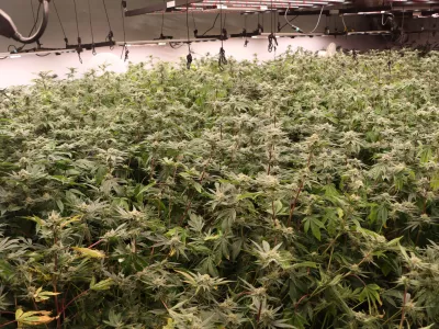 zaseg hi&scaron;na preiskava