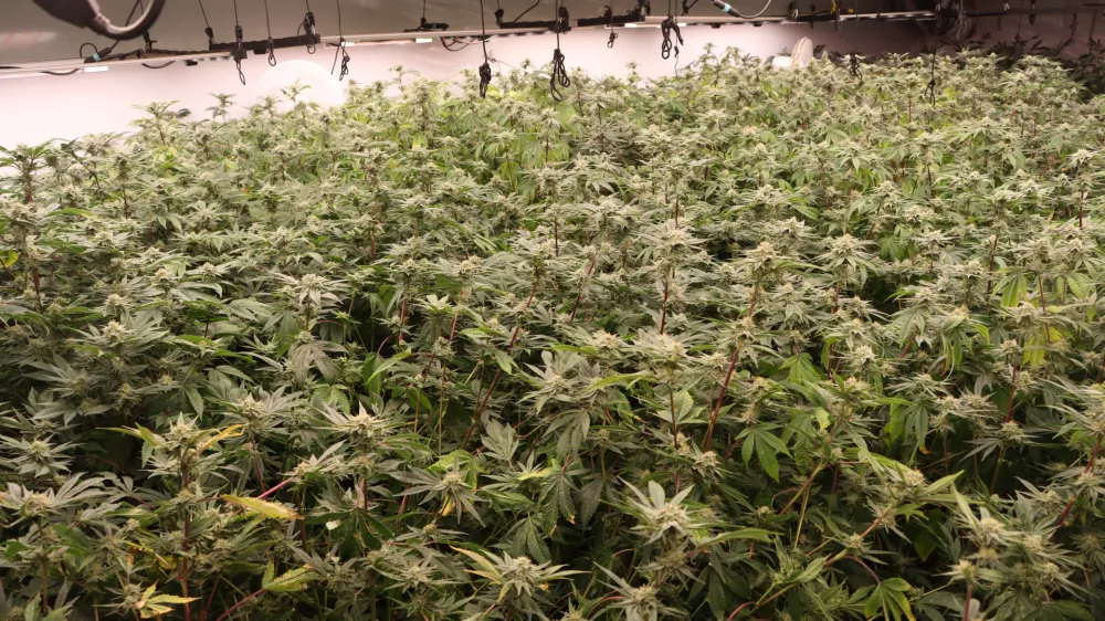 zaseg hi&scaron;na preiskava