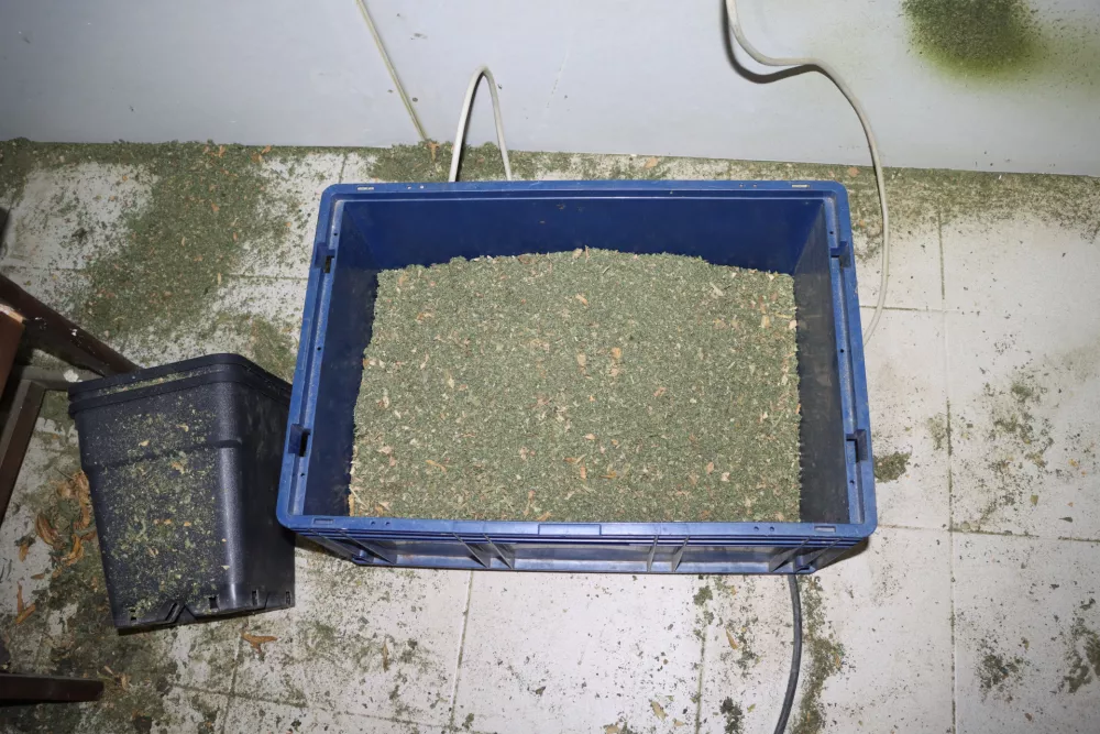 zaseg hi&scaron;na preiskava