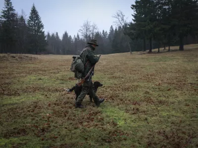 Od 1. januarja 2026 bodo lovski gostje tudi v Sloveniji potrebovali dovolilnico za lov. Mesečna naj bi stala 30, letna pa 250 evrov. ﻿Foto: Luka Cjuha&nbsp;